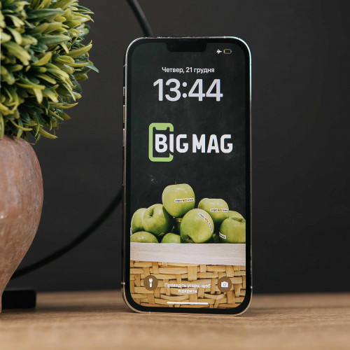 Apple iPhone 13 Pro Max 256GB Silver (MLLC3) б/у